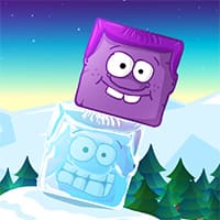 Icy Purplehead 2021
