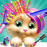 Kitty Animal Hair Salon