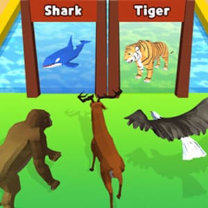 Animal Racing