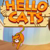 Hello Cats