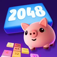 Super Snappy 2048