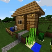 World craft 2