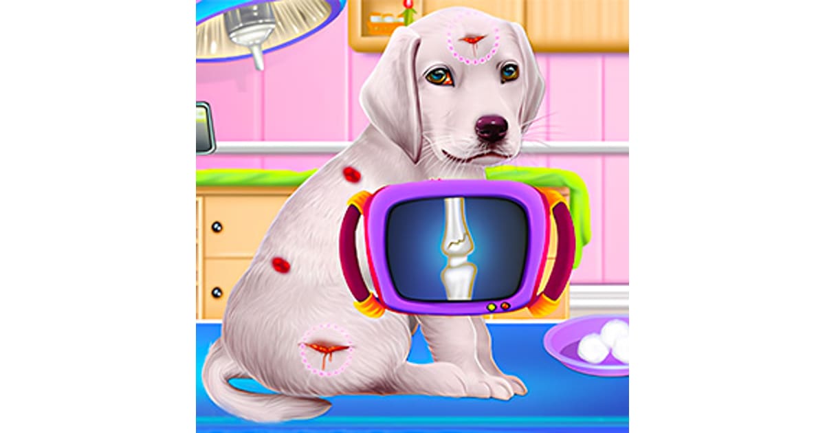 Download Labrador Puppy Daycare Salon and play Labrador Puppy Daycare ...